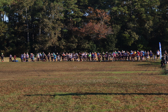 View Start Line in new tab