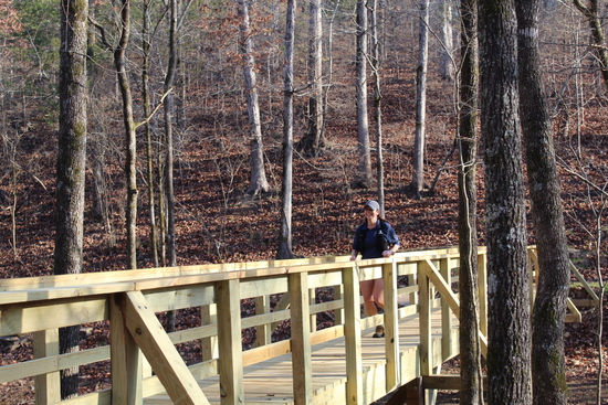 View Huckleberry Bridge in new tab