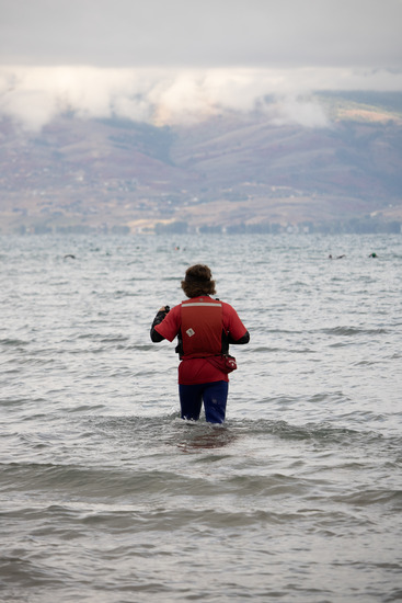 View Swim Course in new tab