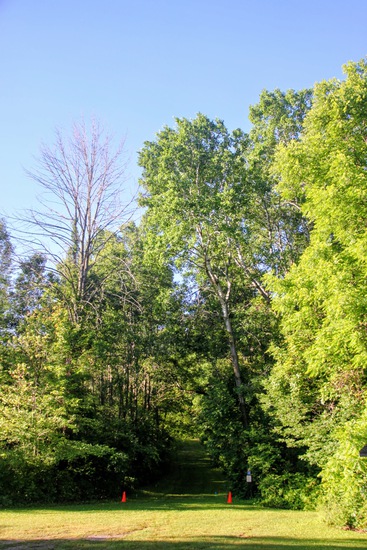 View Greenbush 2026 in new tab