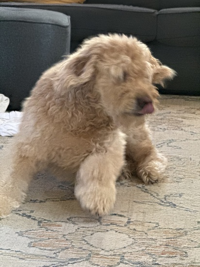 Participant Upload Image