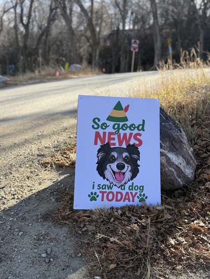 View Franz Lake 5 Mile Run Photos by Sage Canaday in new tab
