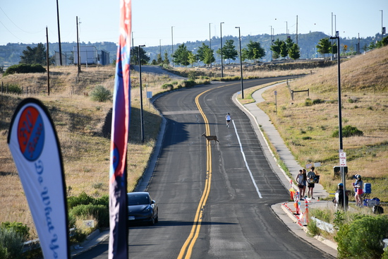 View Finish Line in new tab