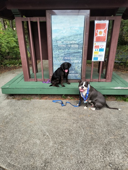 Participant Upload Image