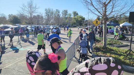 Participant Upload Image