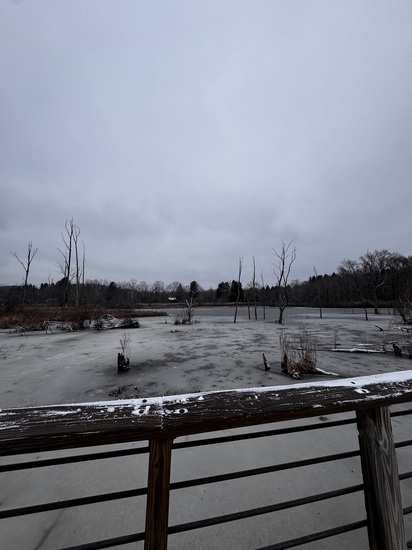 Participant Upload Image