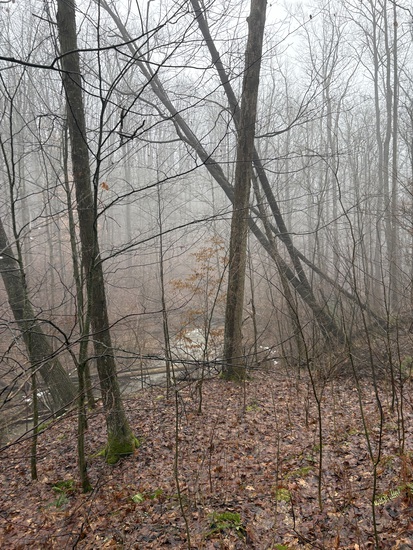 View photos in new tab