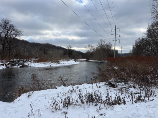 View photos in new tab