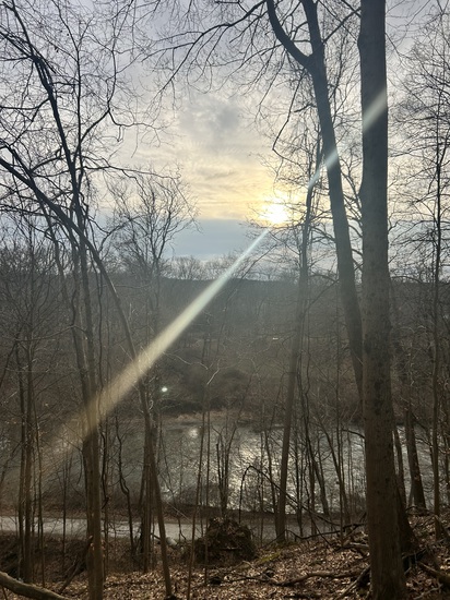 View photos in new tab