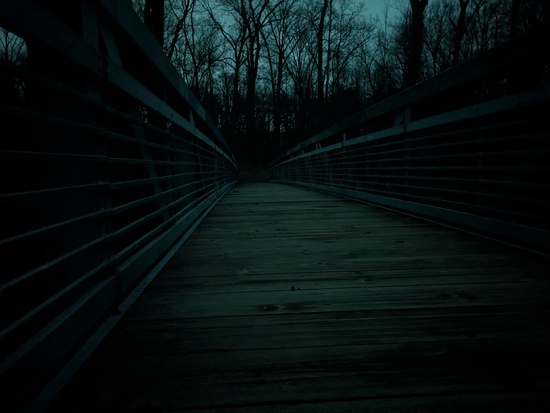 View photos in new tab