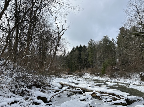 View photos in new tab