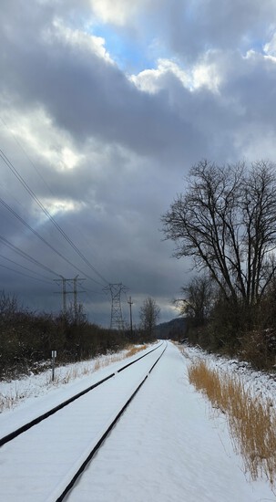 View photos in new tab