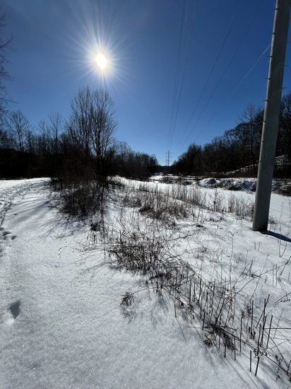 View photos in new tab