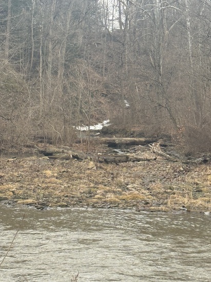 View photos in new tab