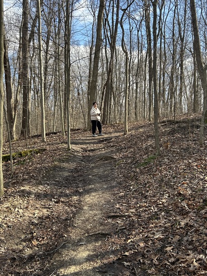 View photos in new tab