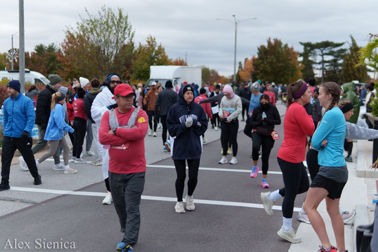 View Photos by Alex Sienica in new tab