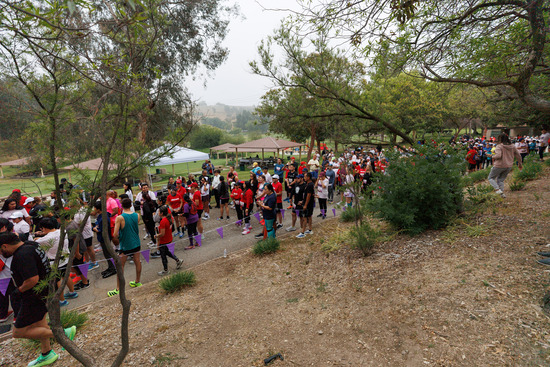View Start Line in new tab