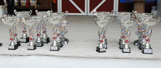 View Awards in new tab
