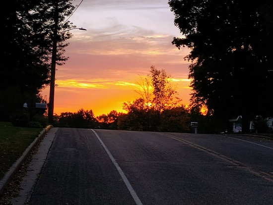 View photos in new tab