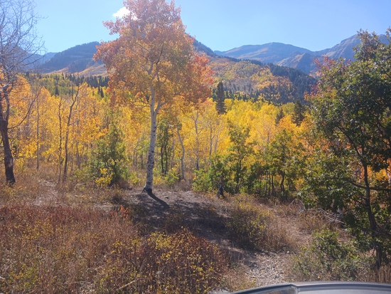 View photos in new tab