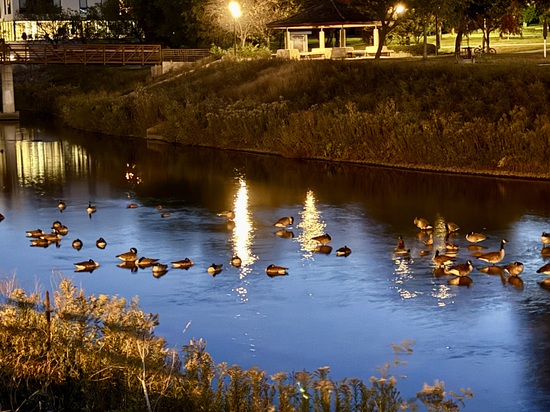 View photos in new tab