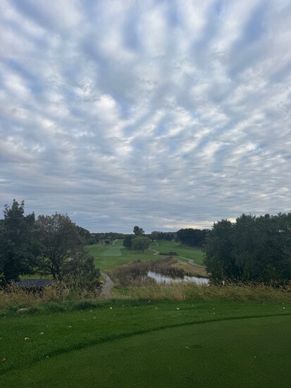 View photos in new tab