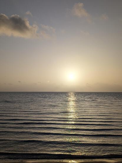 View photos in new tab