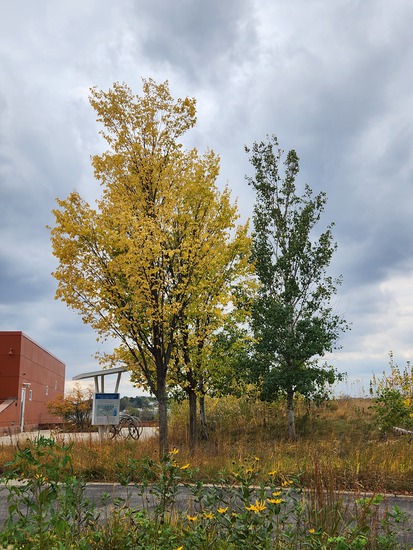 View photos in new tab