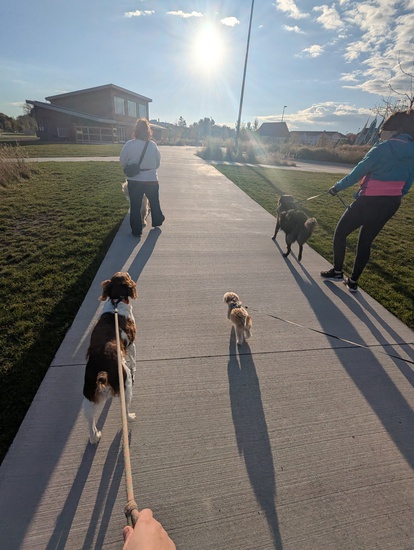 View photos in new tab