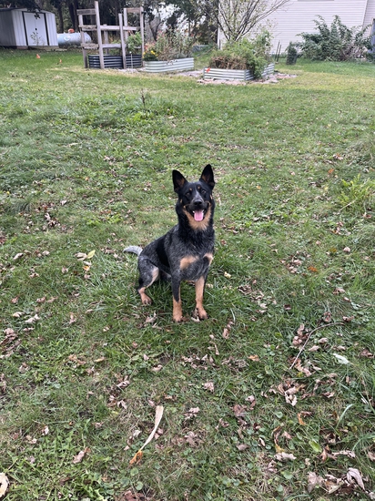 View photos in new tab