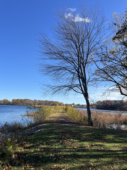 Participant Upload Image