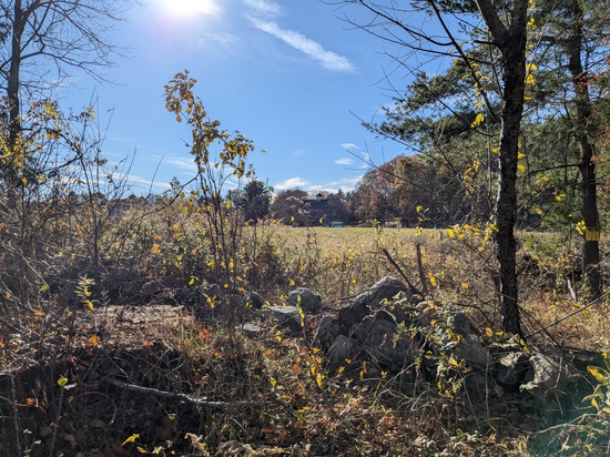 View photos in new tab