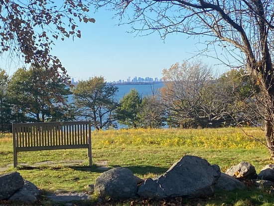 View photos in new tab