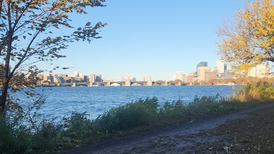 View photos in new tab