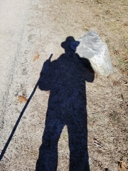 View photos in new tab