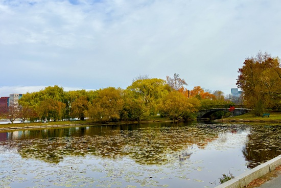 View photos in new tab