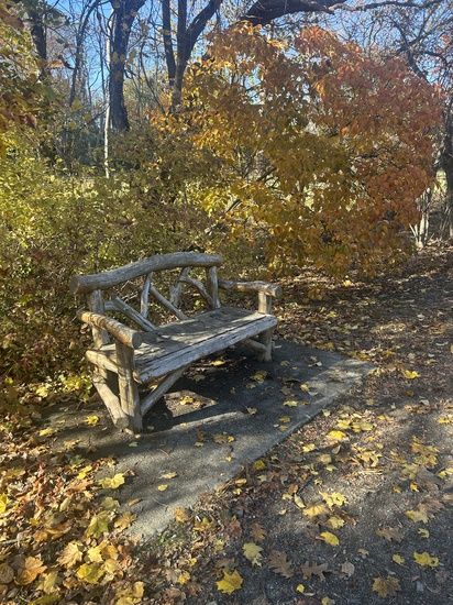 View photos in new tab