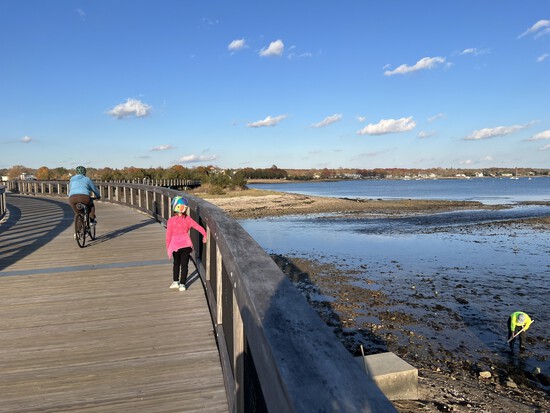 View photos in new tab