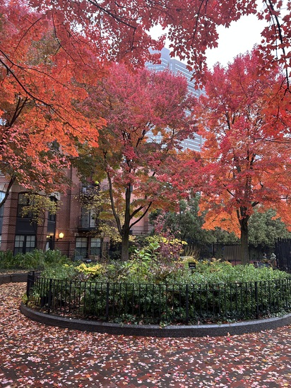 View photos in new tab