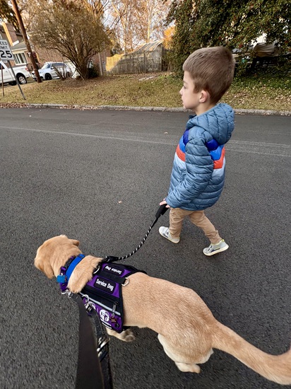 View photos in new tab