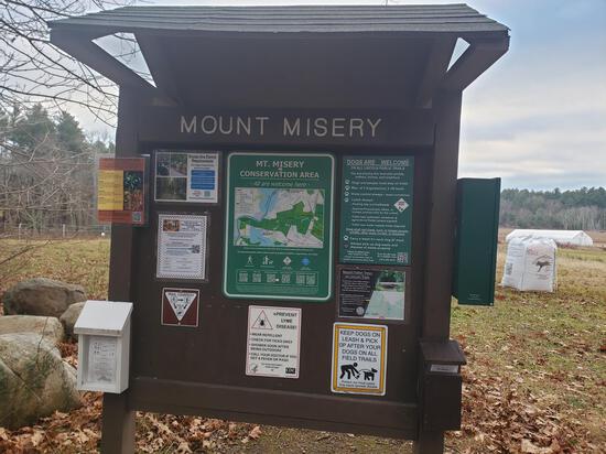 View photos in new tab