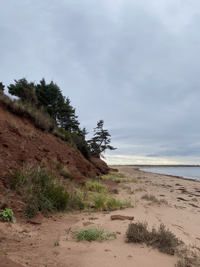 View photos in new tab