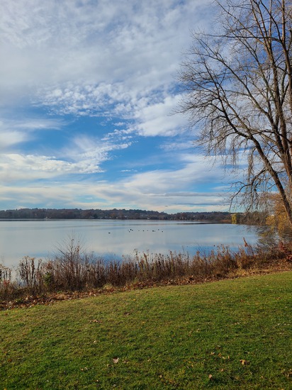 View photos in new tab