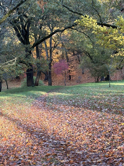 View photos in new tab