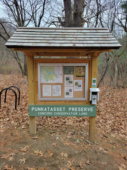 View photos in new tab