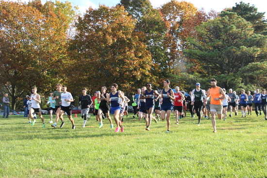 View 11/1 - Tatum - Start in new tab