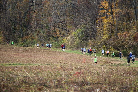 View 11/1 - Tatum - Lower Field in new tab