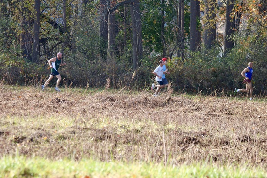 View 11/8 - Thompson - Out Here in the Fields in new tab